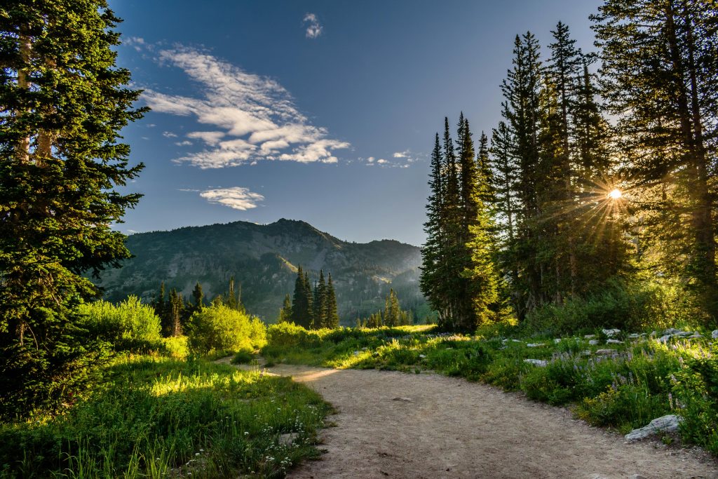 Meridian Idaho moving companies