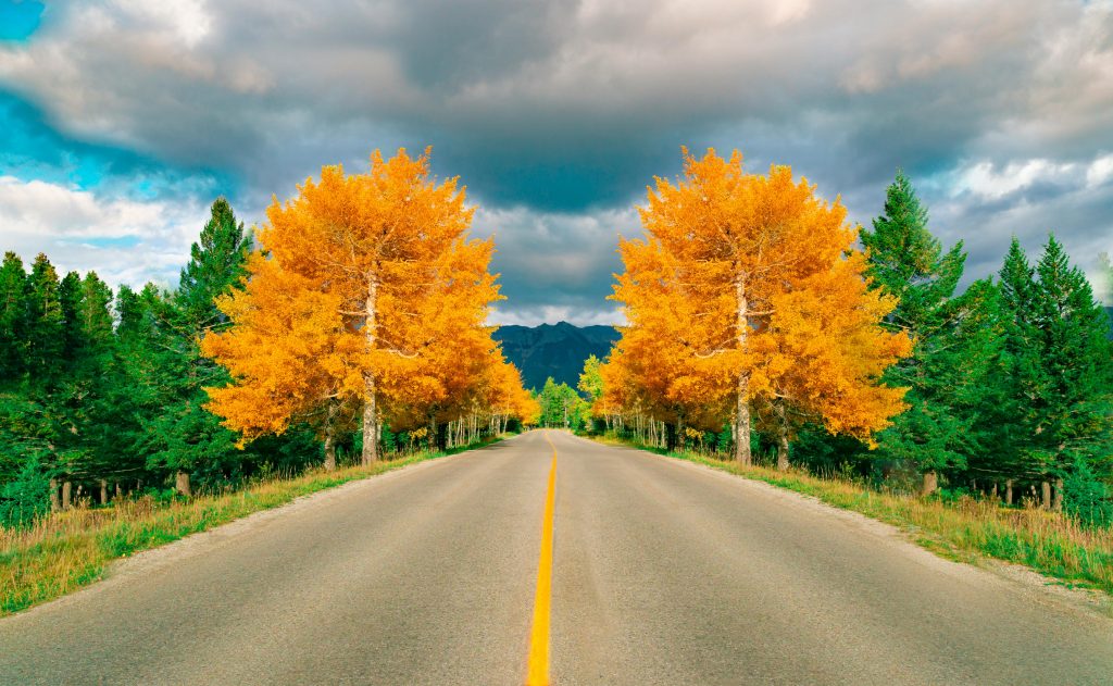 Fall moving in Boise