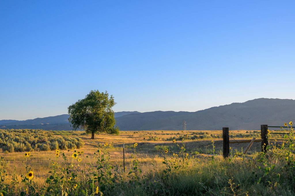 Planning a move in Boise