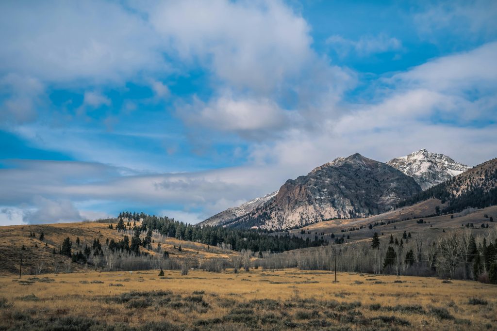 Idaho MOvers