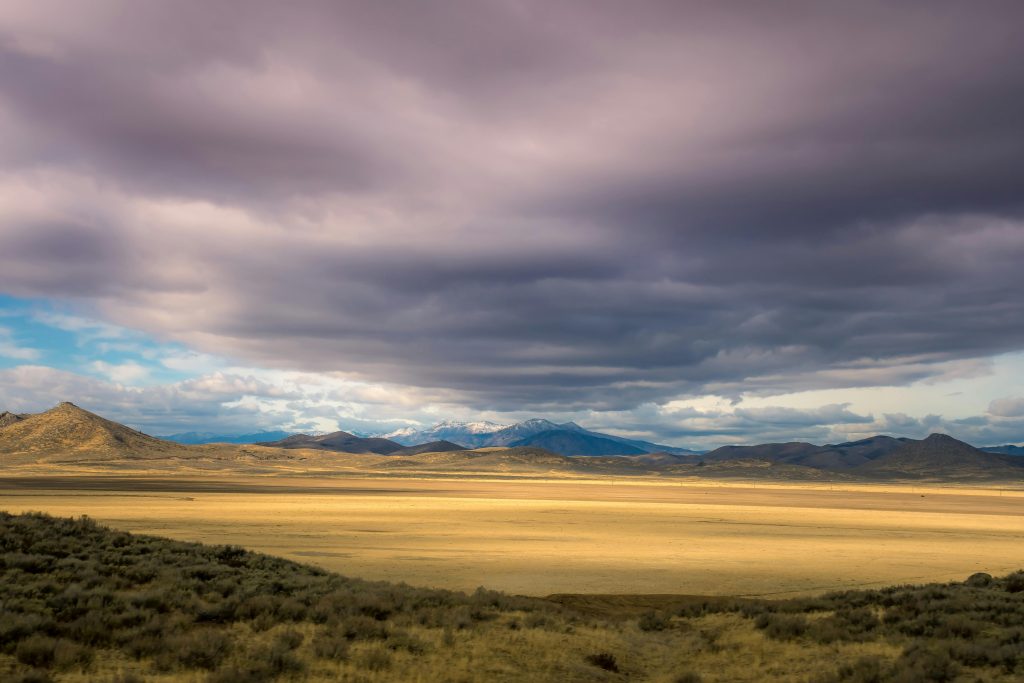 Idaho Moving Company