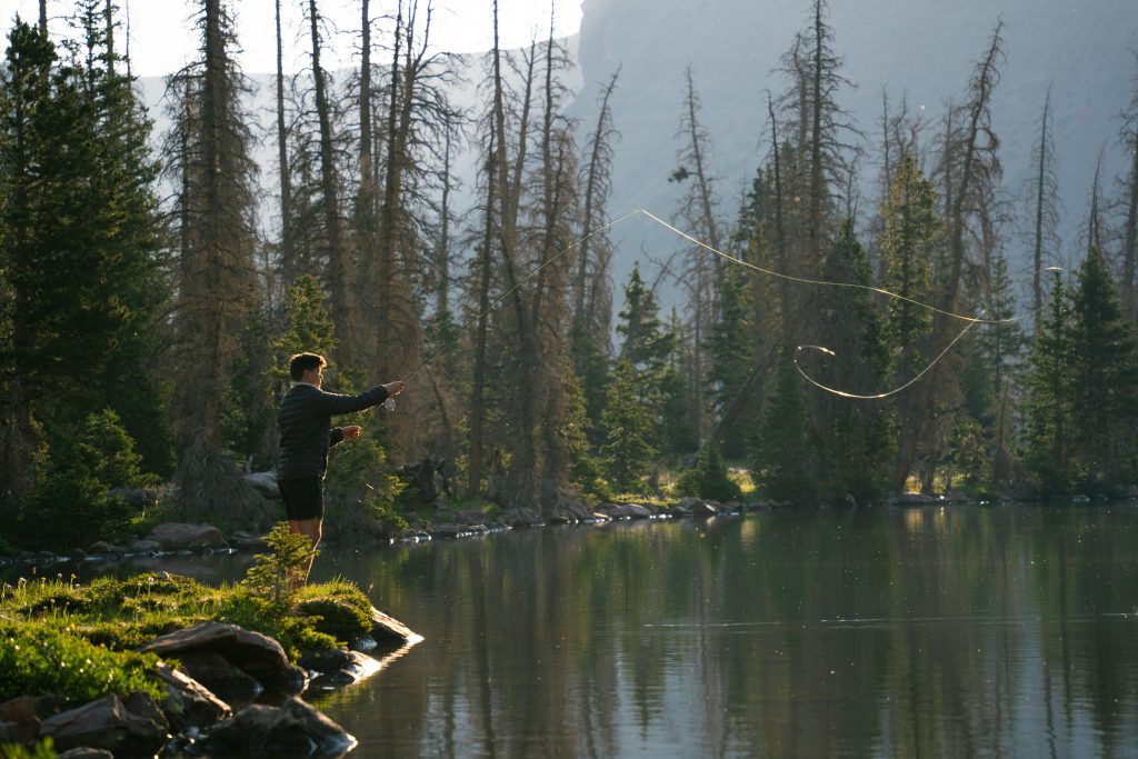 Eagle, Idaho Movers